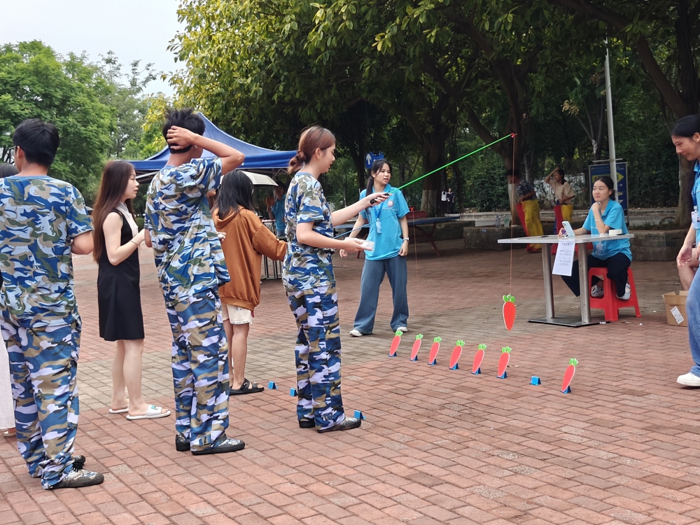 玉兔拔萝卜环节